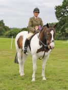 Image 7 in BECCLES AND BUNGAY RIDING CLUB OPEN SHOW. 17 JUNE 2018