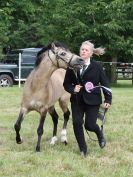 Image 70 in BECCLES AND BUNGAY RIDING CLUB OPEN SHOW. 17 JUNE 2018