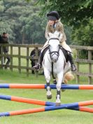 Image 71 in BECCLES AND BUNGAY RIDING CLUB OPEN SHOW. 17 JUNE 2018