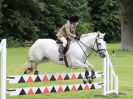 Image 73 in BECCLES AND BUNGAY RIDING CLUB OPEN SHOW. 17 JUNE 2018