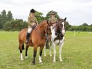 Image 8 in BECCLES AND BUNGAY RIDING CLUB OPEN SHOW. 17 JUNE 2018