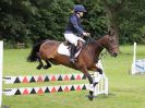 Image 87 in BECCLES AND BUNGAY RIDING CLUB OPEN SHOW. 17 JUNE 2018