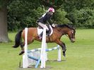 Image 88 in BECCLES AND BUNGAY RIDING CLUB OPEN SHOW. 17 JUNE 2018