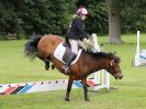 Image 91 in BECCLES AND BUNGAY RIDING CLUB OPEN SHOW. 17 JUNE 2018