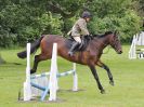 Image 95 in BECCLES AND BUNGAY RIDING CLUB OPEN SHOW. 17 JUNE 2018