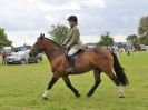 BECCLES AND BUNGAY RIDING CLUB. 17 JUNE 2018. WORKING HUNTERS