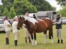 Image 17 in BECCLES AND BUNGAY RIDING CLUB. 17 JUNE 2018. WORKING HUNTERS