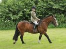 Image 18 in BECCLES AND BUNGAY RIDING CLUB. 17 JUNE 2018. WORKING HUNTERS