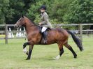 Image 2 in BECCLES AND BUNGAY RIDING CLUB. 17 JUNE 2018. WORKING HUNTERS