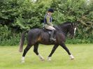 Image 21 in BECCLES AND BUNGAY RIDING CLUB. 17 JUNE 2018. WORKING HUNTERS