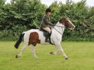 Image 22 in BECCLES AND BUNGAY RIDING CLUB. 17 JUNE 2018. WORKING HUNTERS