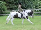 Image 23 in BECCLES AND BUNGAY RIDING CLUB. 17 JUNE 2018. WORKING HUNTERS