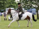 Image 24 in BECCLES AND BUNGAY RIDING CLUB. 17 JUNE 2018. WORKING HUNTERS