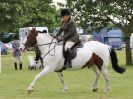 Image 24 in BECCLES AND BUNGAY RIDING CLUB. 17 JUNE 2018. WORKING HUNTERS