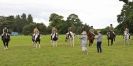 Image 25 in BECCLES AND BUNGAY RIDING CLUB. 17 JUNE 2018. WORKING HUNTERS