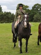 Image 28 in BECCLES AND BUNGAY RIDING CLUB. 17 JUNE 2018. WORKING HUNTERS