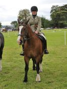 Image 29 in BECCLES AND BUNGAY RIDING CLUB. 17 JUNE 2018. WORKING HUNTERS