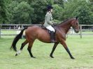 Image 34 in BECCLES AND BUNGAY RIDING CLUB. 17 JUNE 2018. WORKING HUNTERS