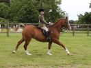 Image 36 in BECCLES AND BUNGAY RIDING CLUB. 17 JUNE 2018. WORKING HUNTERS