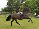 Image 37 in BECCLES AND BUNGAY RIDING CLUB. 17 JUNE 2018. WORKING HUNTERS