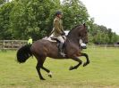 Image 38 in BECCLES AND BUNGAY RIDING CLUB. 17 JUNE 2018. WORKING HUNTERS