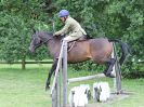 Image 43 in BECCLES AND BUNGAY RIDING CLUB. 17 JUNE 2018. WORKING HUNTERS