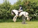 Image 5 in BECCLES AND BUNGAY RIDING CLUB. 17 JUNE 2018. WORKING HUNTERS