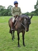 Image 52 in BECCLES AND BUNGAY RIDING CLUB. 17 JUNE 2018. WORKING HUNTERS
