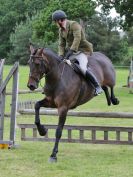 Image 54 in BECCLES AND BUNGAY RIDING CLUB. 17 JUNE 2018. WORKING HUNTERS