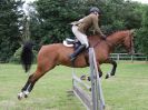 Image 56 in BECCLES AND BUNGAY RIDING CLUB. 17 JUNE 2018. WORKING HUNTERS