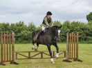 Image 7 in BECCLES AND BUNGAY RIDING CLUB. 17 JUNE 2018. WORKING HUNTERS
