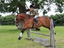 Image 72 in BECCLES AND BUNGAY RIDING CLUB. 17 JUNE 2018. WORKING HUNTERS