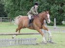 Image 76 in BECCLES AND BUNGAY RIDING CLUB. 17 JUNE 2018. WORKING HUNTERS