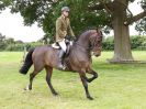 Image 86 in BECCLES AND BUNGAY RIDING CLUB. 17 JUNE 2018. WORKING HUNTERS