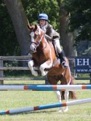 Image 100 in BECCLES AND BUNGAY RIDING CLUB. AREA 14 SHOW JUMPING ETC. 1ST JULY 2018