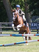 Image 105 in BECCLES AND BUNGAY RIDING CLUB. AREA 14 SHOW JUMPING ETC. 1ST JULY 2018