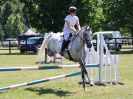 Image 106 in BECCLES AND BUNGAY RIDING CLUB. AREA 14 SHOW JUMPING ETC. 1ST JULY 2018
