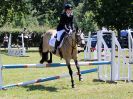 Image 112 in BECCLES AND BUNGAY RIDING CLUB. AREA 14 SHOW JUMPING ETC. 1ST JULY 2018