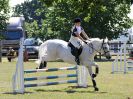 Image 114 in BECCLES AND BUNGAY RIDING CLUB. AREA 14 SHOW JUMPING ETC. 1ST JULY 2018