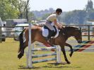 Image 117 in BECCLES AND BUNGAY RIDING CLUB. AREA 14 SHOW JUMPING ETC. 1ST JULY 2018