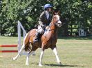 Image 133 in BECCLES AND BUNGAY RIDING CLUB. AREA 14 SHOW JUMPING ETC. 1ST JULY 2018