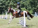 Image 134 in BECCLES AND BUNGAY RIDING CLUB. AREA 14 SHOW JUMPING ETC. 1ST JULY 2018