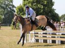 Image 148 in BECCLES AND BUNGAY RIDING CLUB. AREA 14 SHOW JUMPING ETC. 1ST JULY 2018