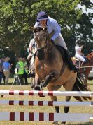 Image 150 in BECCLES AND BUNGAY RIDING CLUB. AREA 14 SHOW JUMPING ETC. 1ST JULY 2018