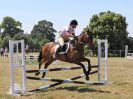 Image 153 in BECCLES AND BUNGAY RIDING CLUB. AREA 14 SHOW JUMPING ETC. 1ST JULY 2018