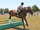 Image 154 in BECCLES AND BUNGAY RIDING CLUB. AREA 14 SHOW JUMPING ETC. 1ST JULY 2018