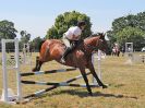 Image 155 in BECCLES AND BUNGAY RIDING CLUB. AREA 14 SHOW JUMPING ETC. 1ST JULY 2018