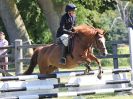 Image 16 in BECCLES AND BUNGAY RIDING CLUB. AREA 14 SHOW JUMPING ETC. 1ST JULY 2018