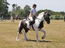Image 164 in BECCLES AND BUNGAY RIDING CLUB. AREA 14 SHOW JUMPING ETC. 1ST JULY 2018