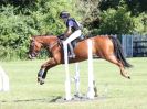 Image 17 in BECCLES AND BUNGAY RIDING CLUB. AREA 14 SHOW JUMPING ETC. 1ST JULY 2018